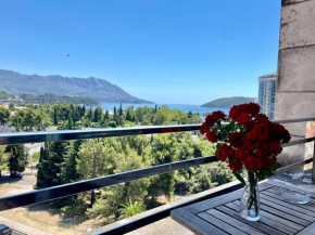 Modern Budva